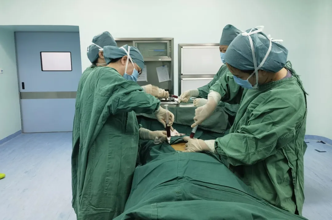 Dr. Xiao Juan and Dr. Chen Jiao collecting bone marrow and peripheral stem cells from Abu's father
